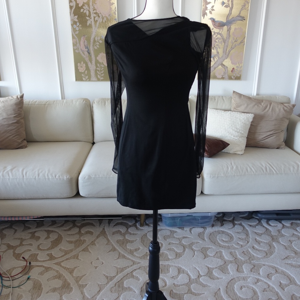 Simply stunning and eye-popping Sheer long sleeve Black Cache Dress
